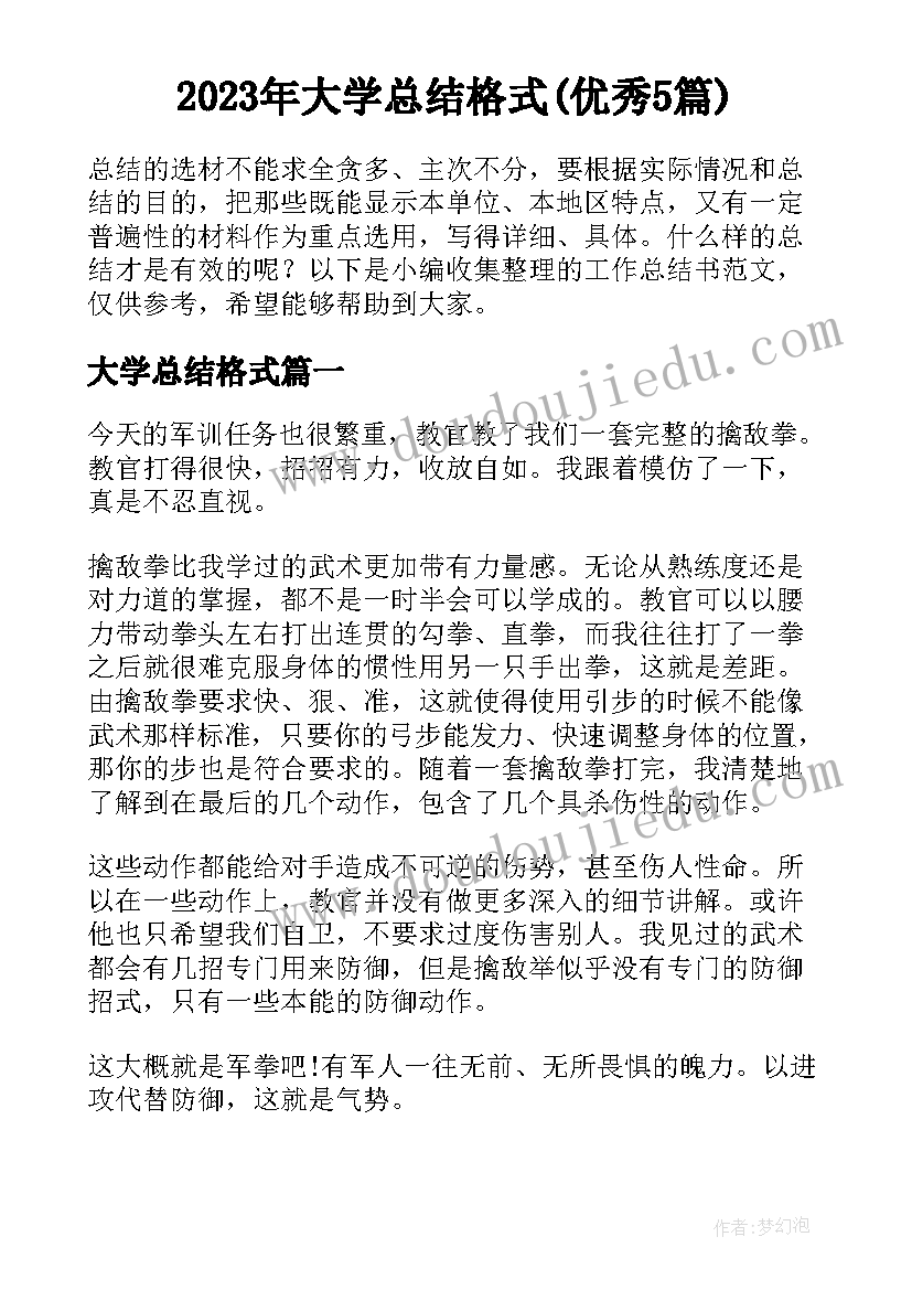 2023年大学总结格式(优秀5篇)