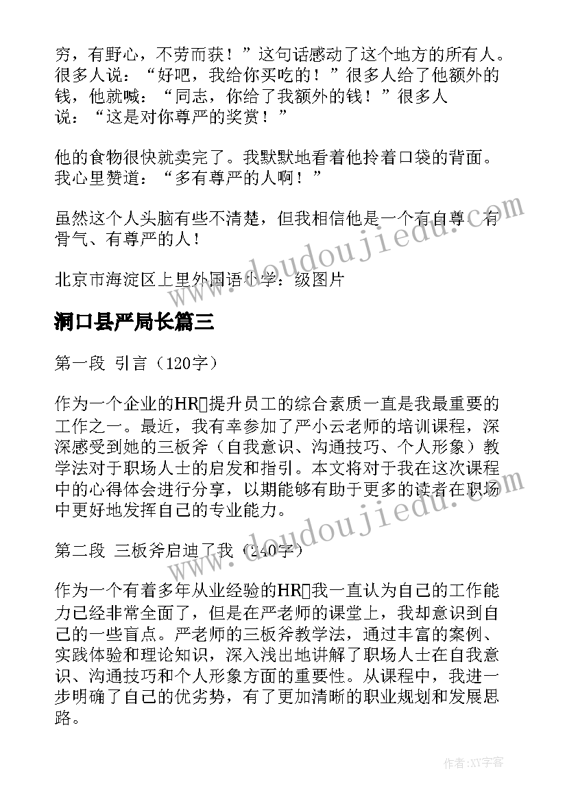 2023年洞口县严局长 严小云三板斧培训心得体会(汇总5篇)