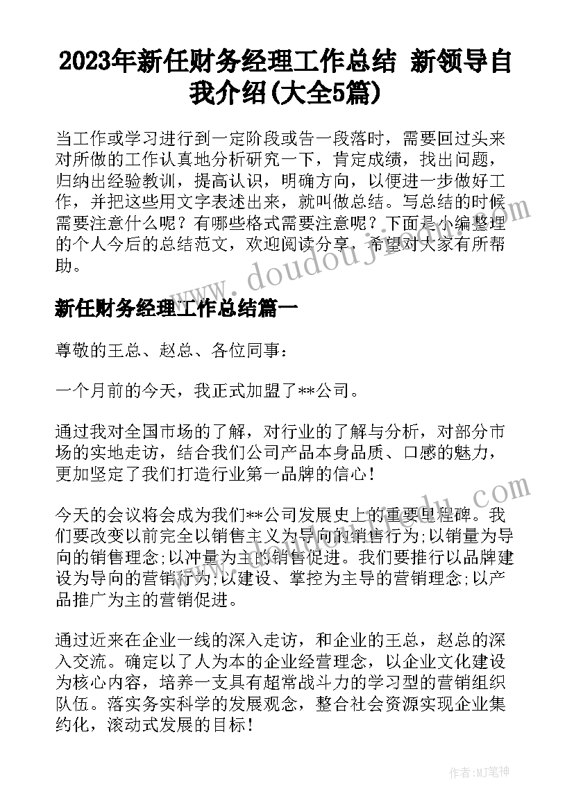 2023年新任财务经理工作总结 新领导自我介绍(大全5篇)