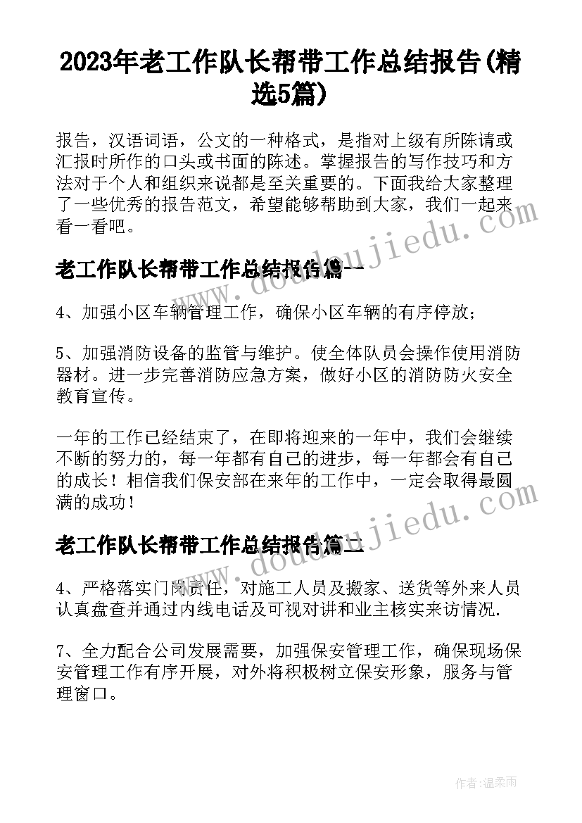 2023年老工作队长帮带工作总结报告(精选5篇)