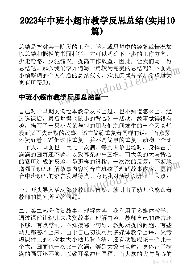 2023年中班小超市教学反思总结(实用10篇)