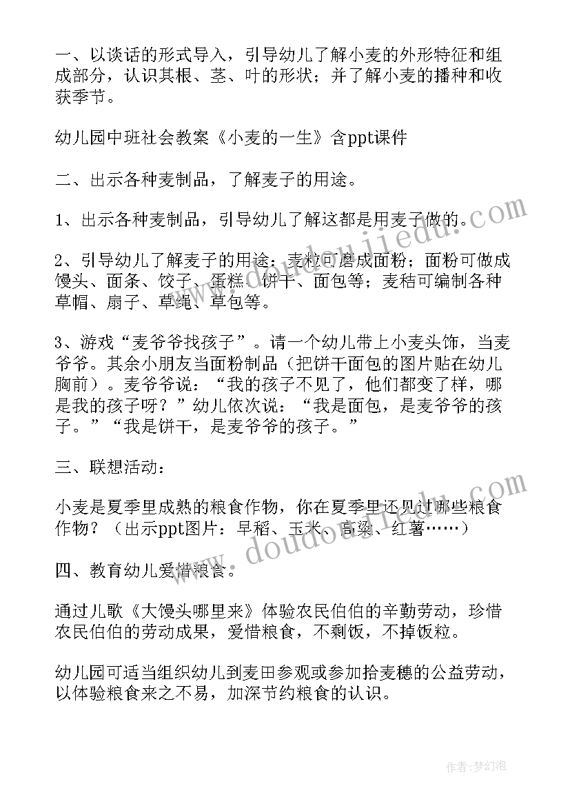 2023年大班科学认识球体教学反思与反思 大班科学课教案及教学反思认识小麦(大全5篇)