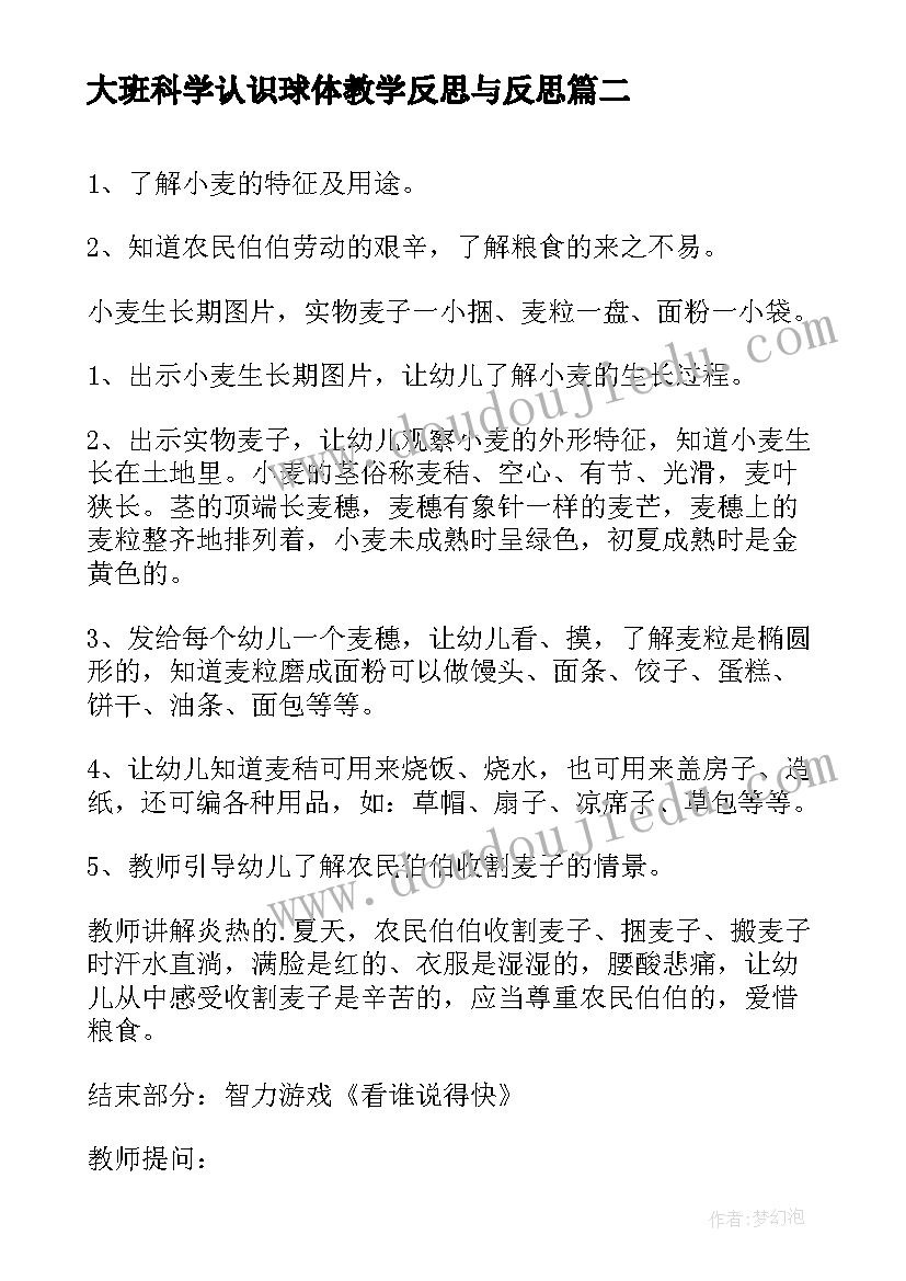 2023年大班科学认识球体教学反思与反思 大班科学课教案及教学反思认识小麦(大全5篇)