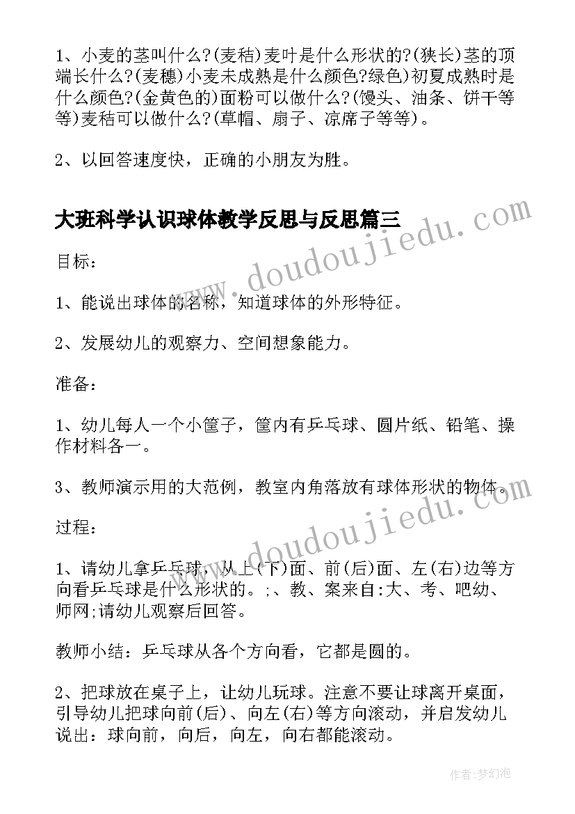 2023年大班科学认识球体教学反思与反思 大班科学课教案及教学反思认识小麦(大全5篇)