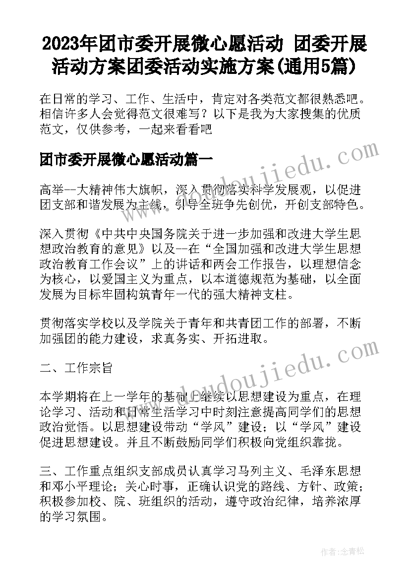 2023年团市委开展微心愿活动 团委开展活动方案团委活动实施方案(通用5篇)