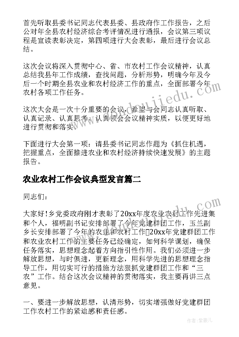 2023年农业农村工作会议典型发言(模板6篇)