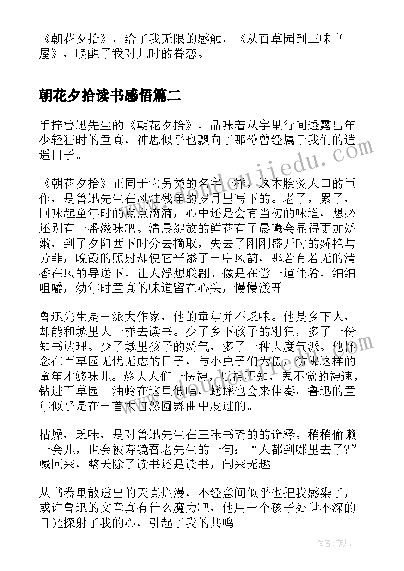 2023年执法人员廉洁自律自查自纠报告(模板5篇)