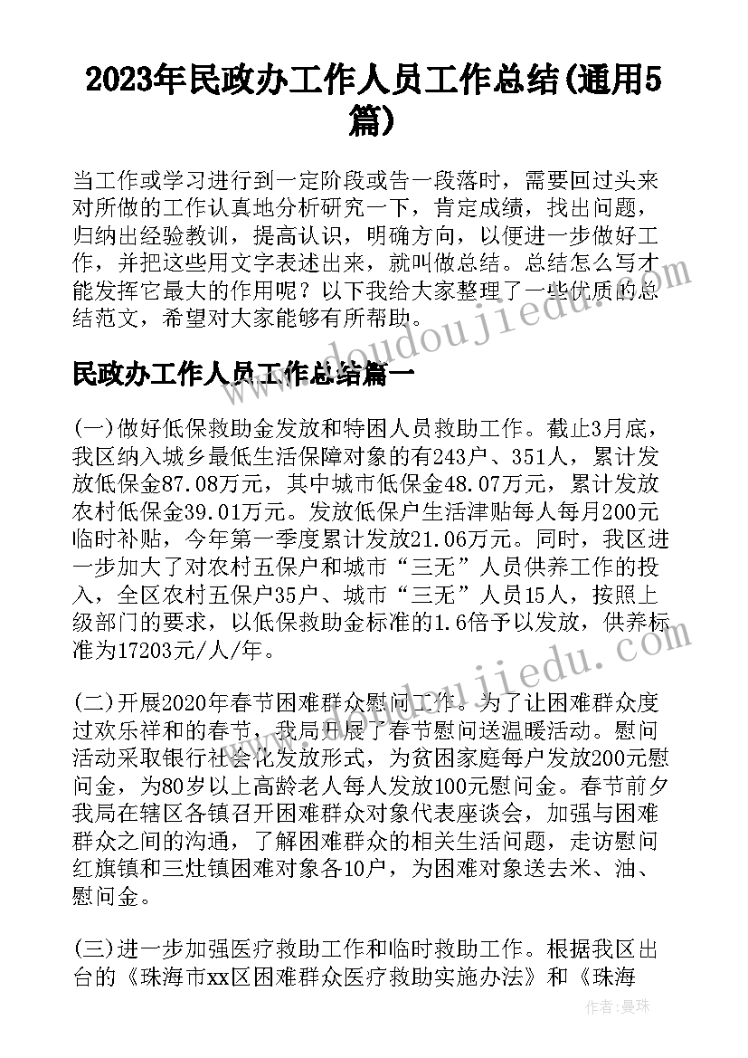 2023年民政办工作人员工作总结(通用5篇)