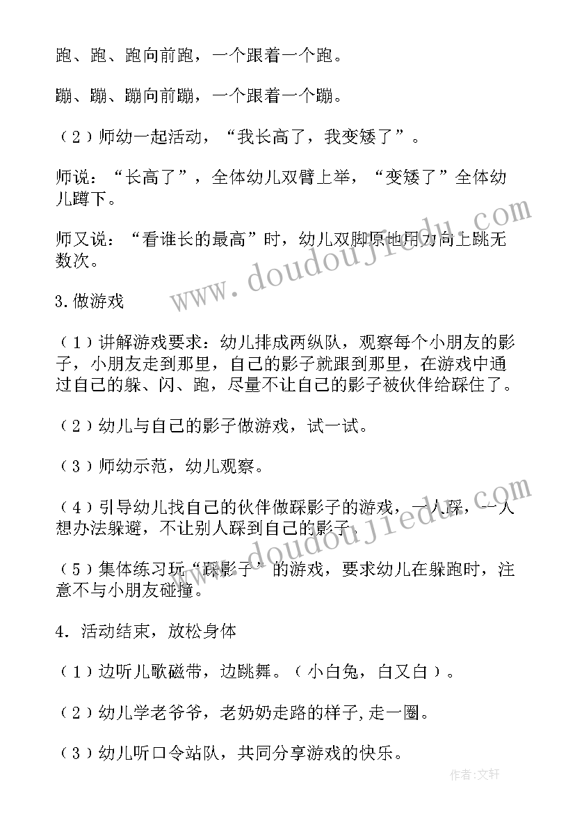 2023年踩影子小班教案反思(优秀5篇)