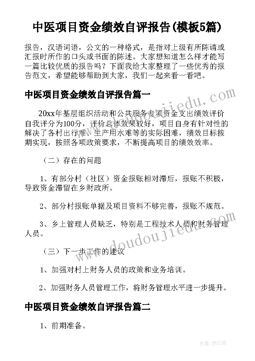 中医项目资金绩效自评报告(模板5篇)