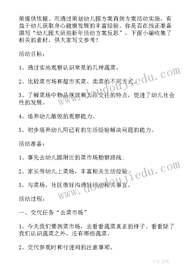 三八节幼儿园大班方案反思(大全5篇)