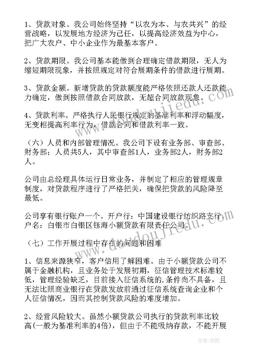 贷款档案自查报告 小额贷款公司自查报告(模板5篇)