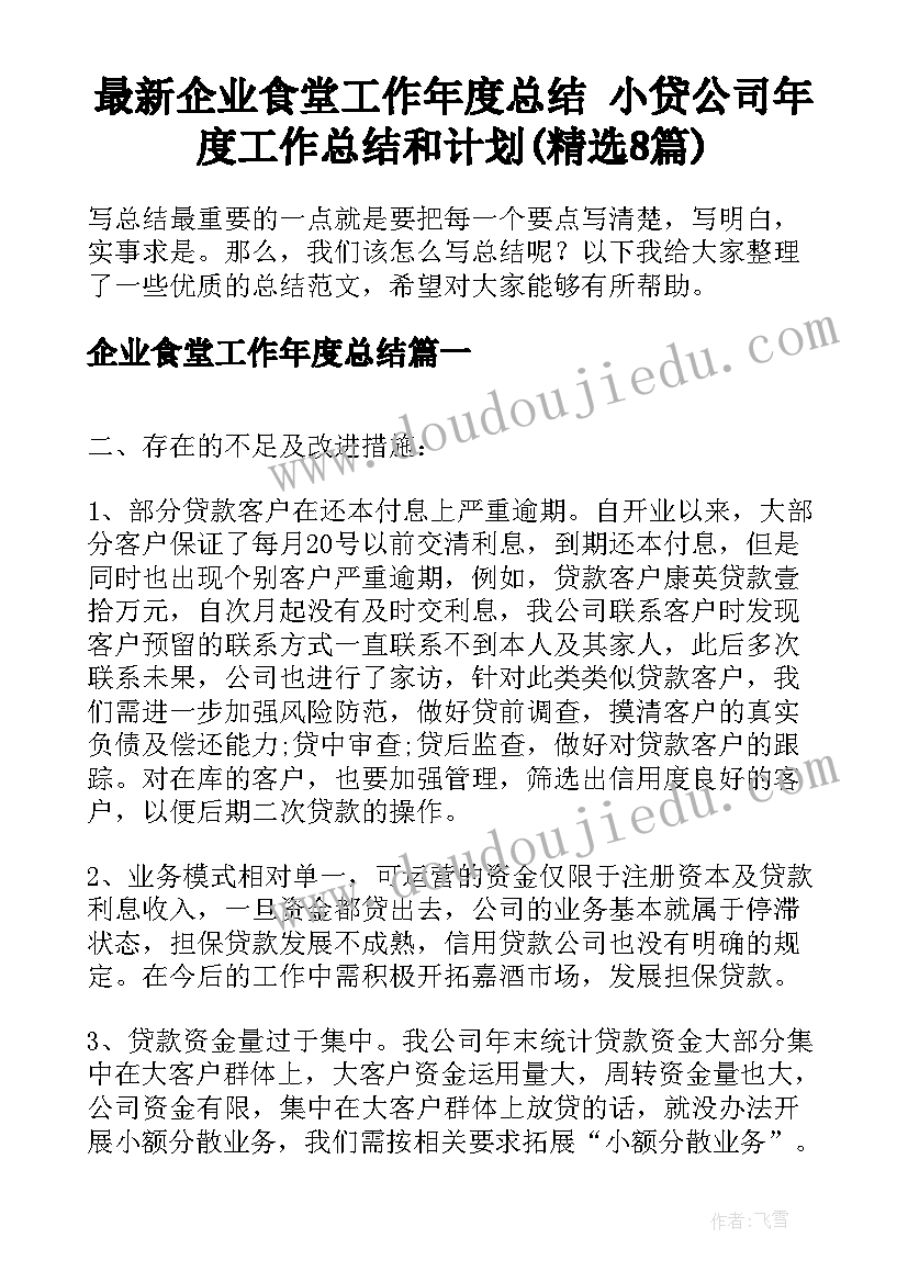 最新企业食堂工作年度总结 小贷公司年度工作总结和计划(精选8篇)