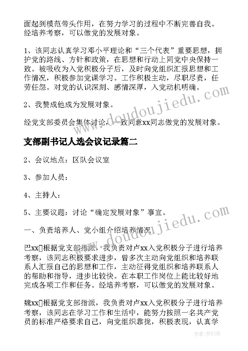 最新支部副书记人选会议记录(汇总5篇)