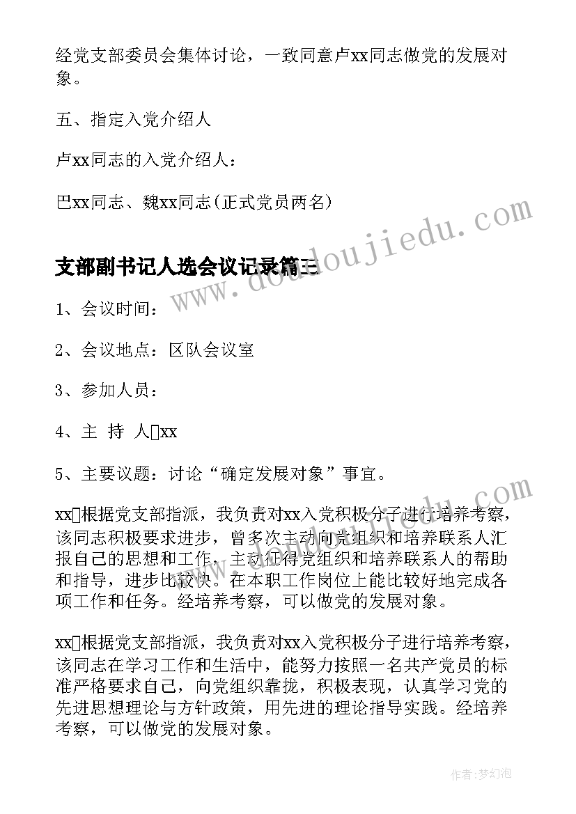 最新支部副书记人选会议记录(汇总5篇)