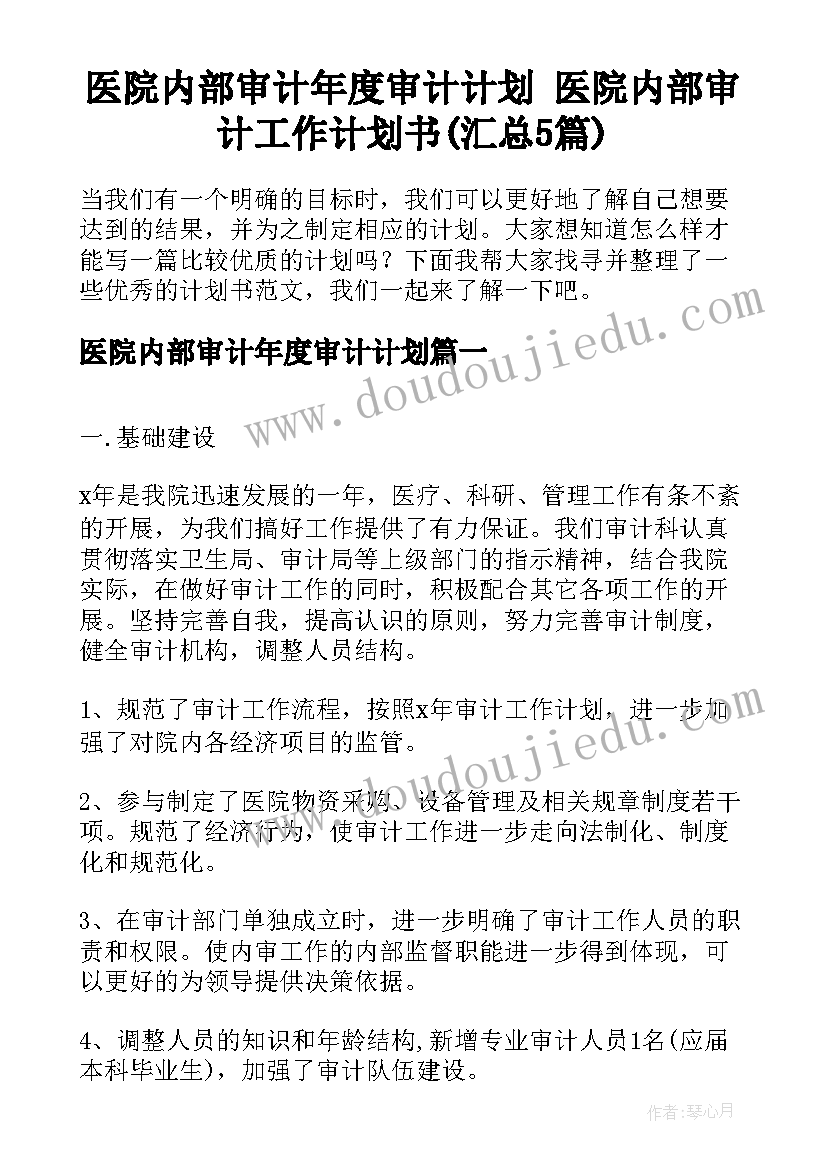 医院内部审计年度审计计划 医院内部审计工作计划书(汇总5篇)