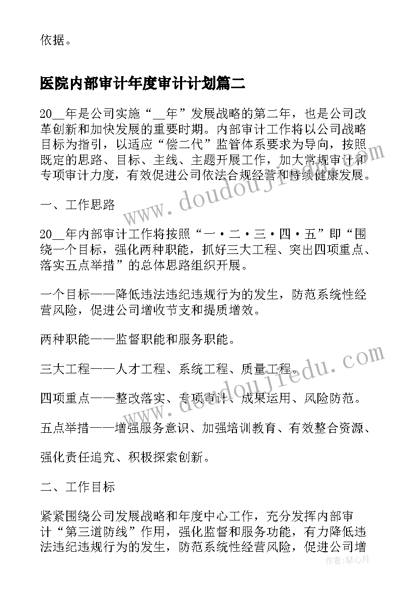 医院内部审计年度审计计划 医院内部审计工作计划书(汇总5篇)