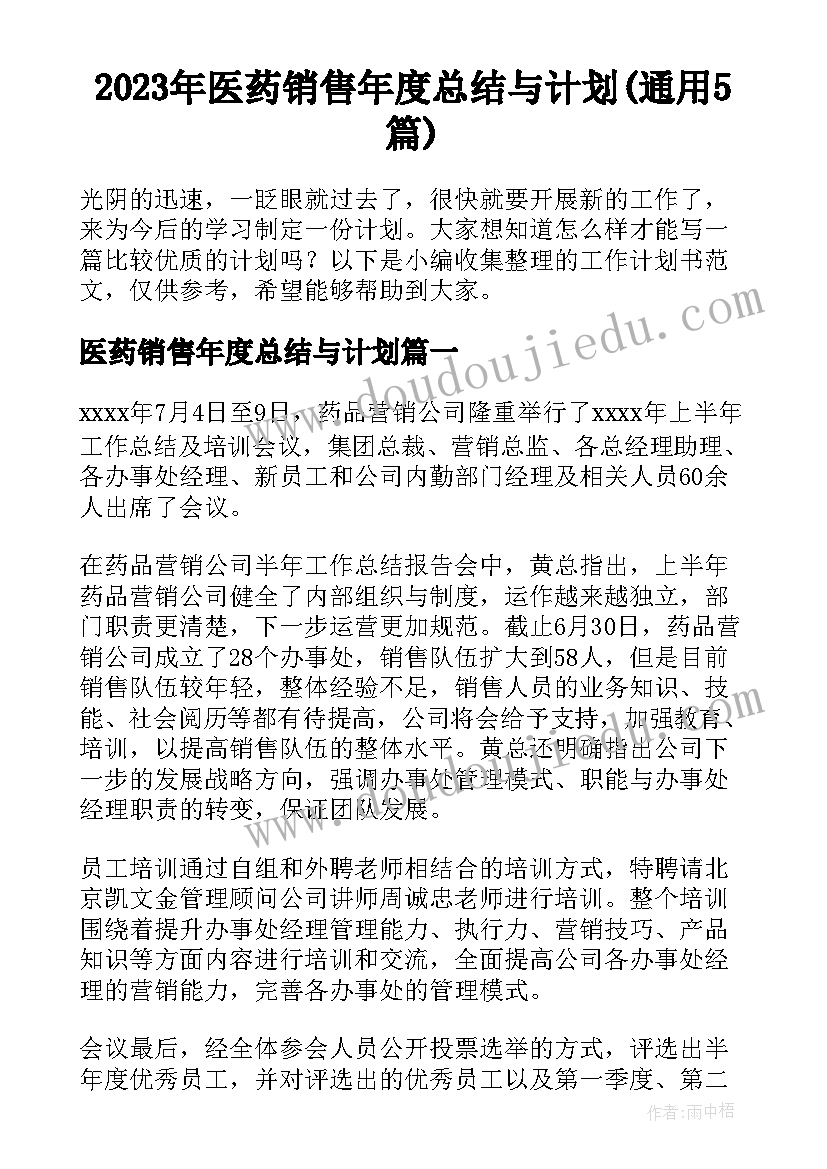 2023年医药销售年度总结与计划(通用5篇)