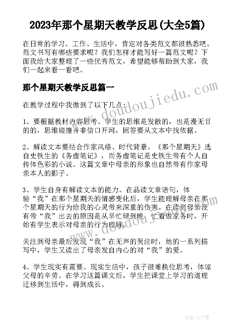 2023年那个星期天教学反思(大全5篇)