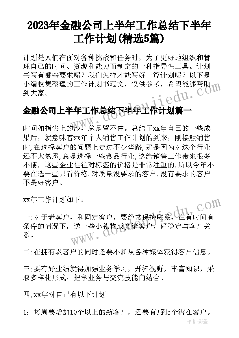 2023年金融公司上半年工作总结下半年工作计划(精选5篇)