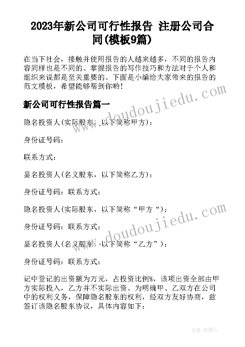 2023年新公司可行性报告 注册公司合同(模板9篇)