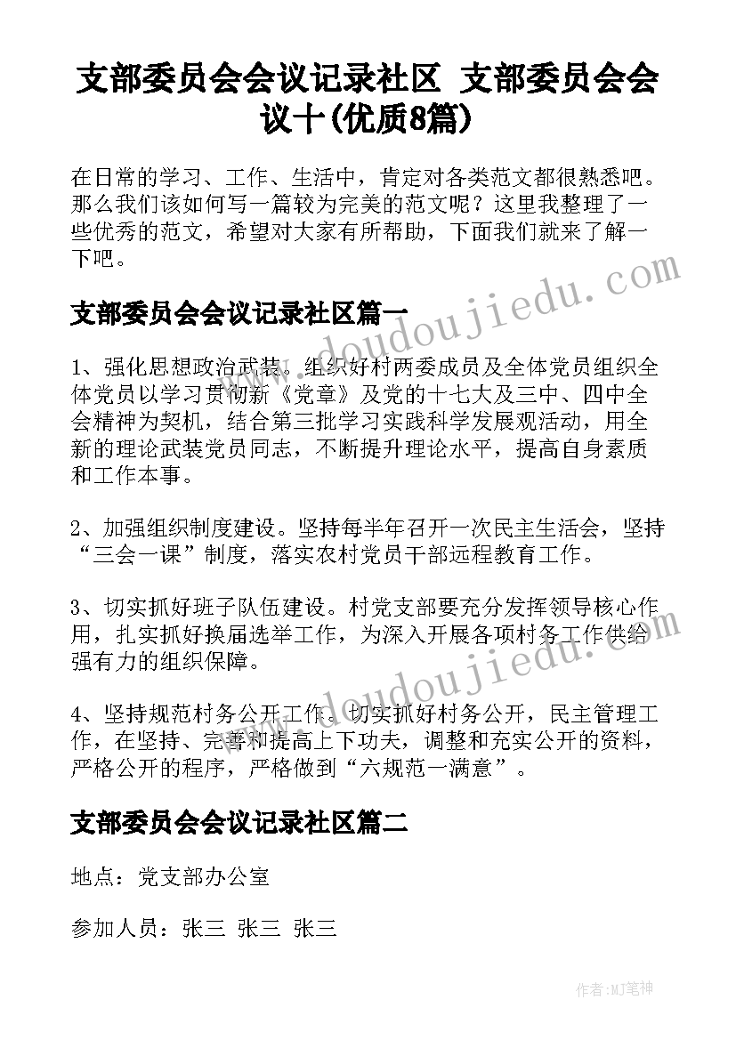 支部委员会会议记录社区 支部委员会会议十(优质8篇)