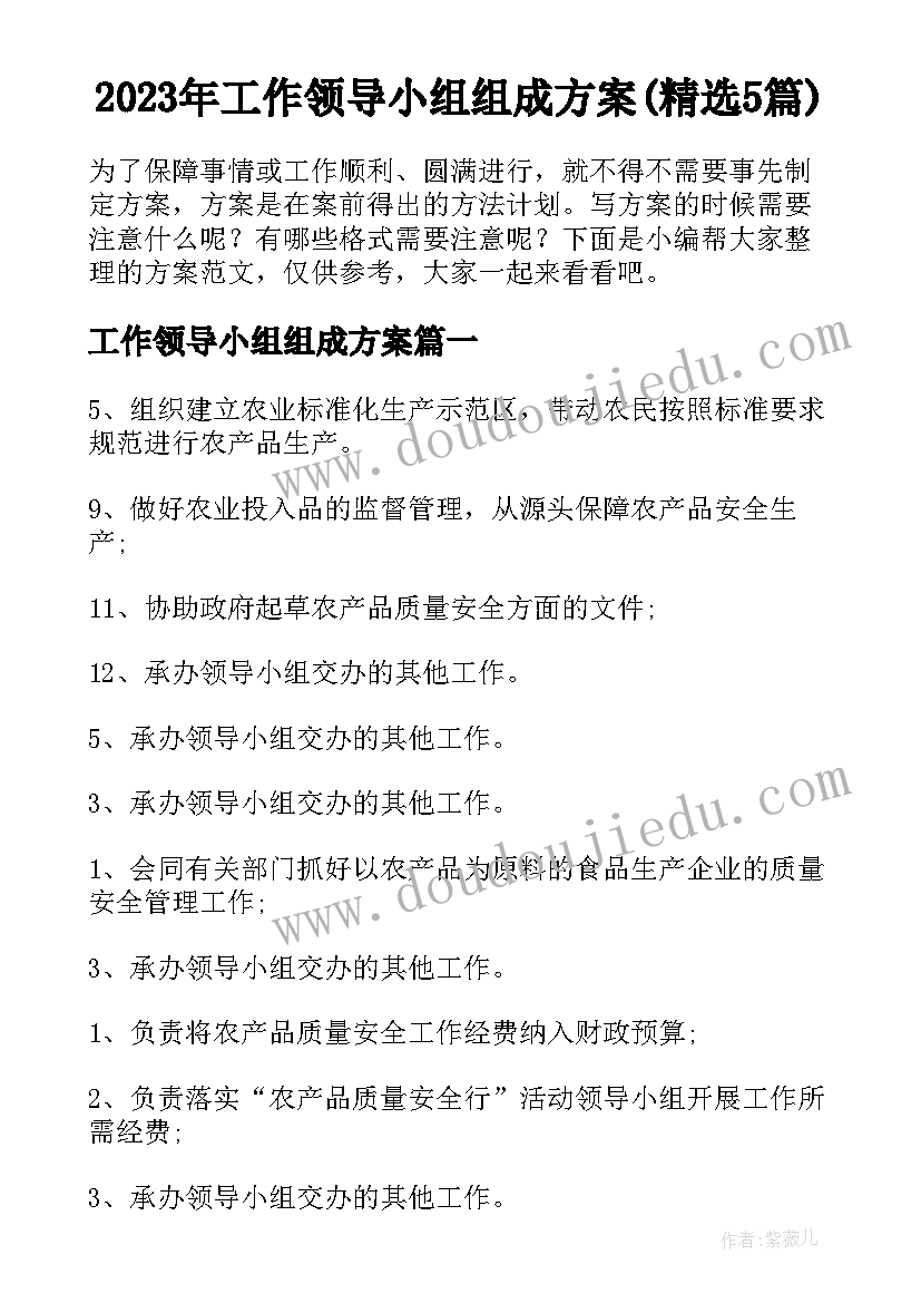 2023年工作领导小组组成方案(精选5篇)