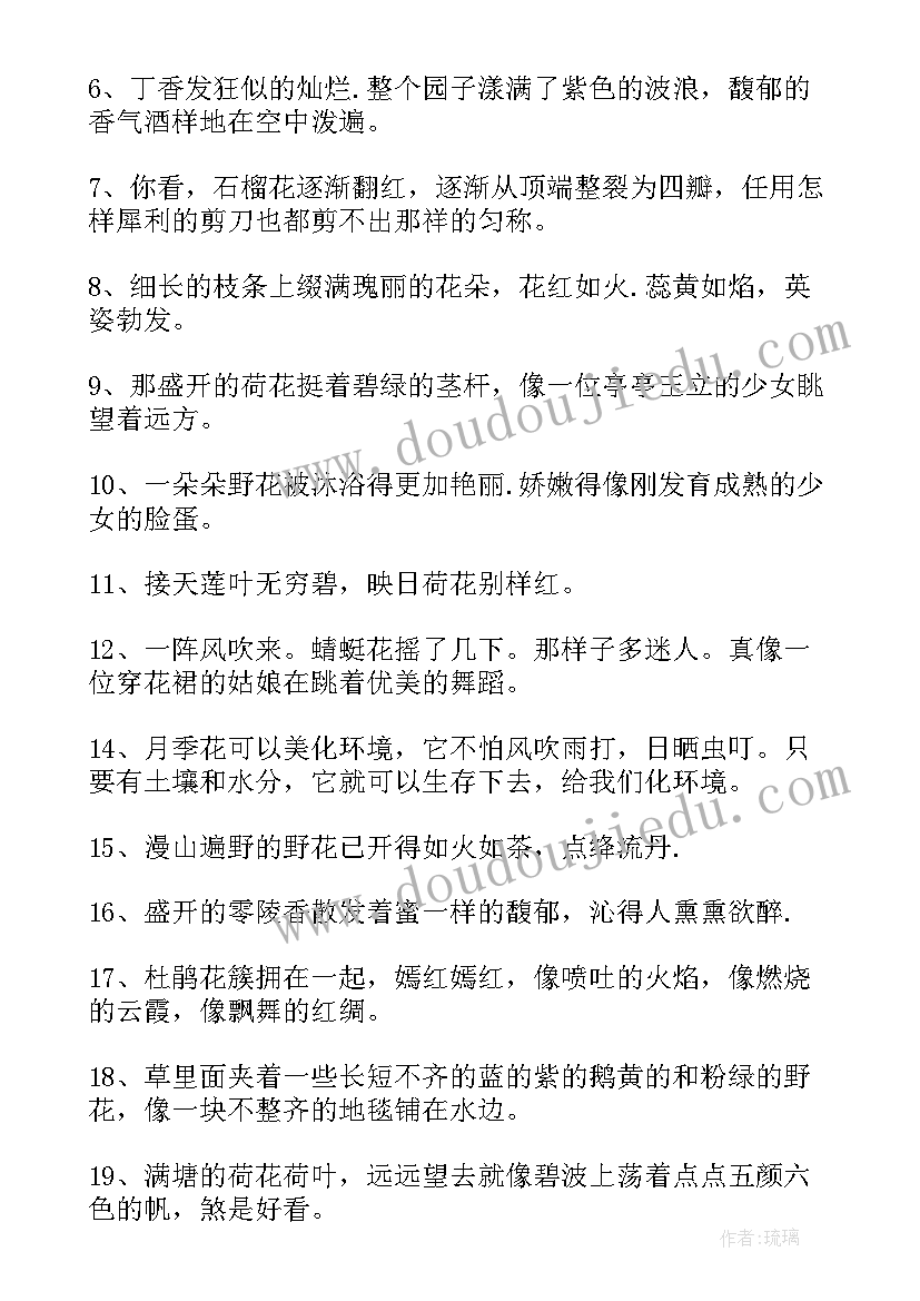 匆匆那些年文案 那些超励志的短句子文案(精选5篇)