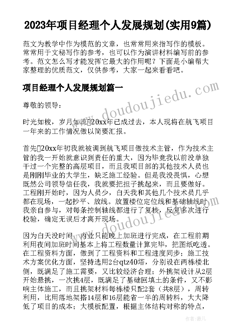 2023年项目经理个人发展规划(实用9篇)