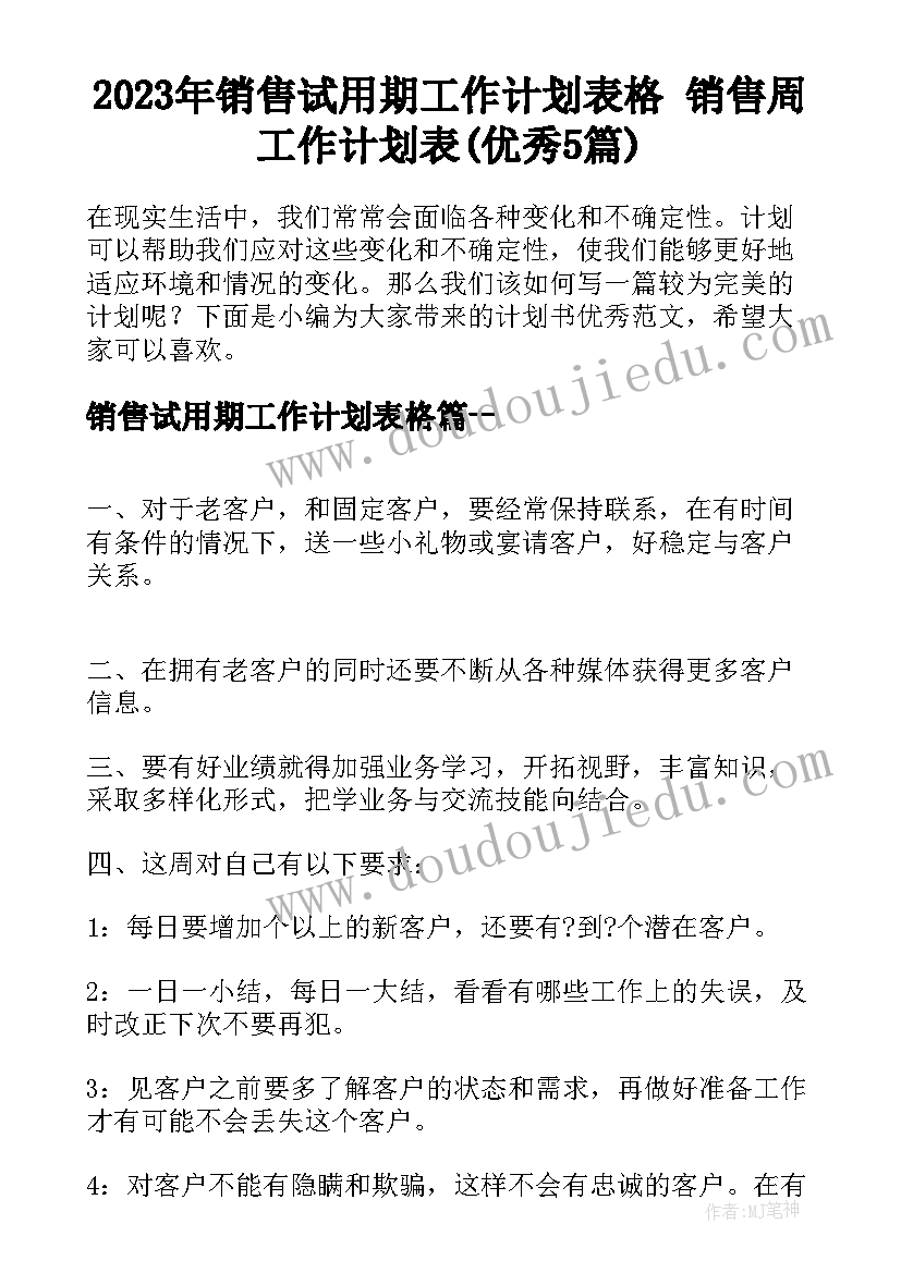 2023年销售试用期工作计划表格 销售周工作计划表(优秀5篇)