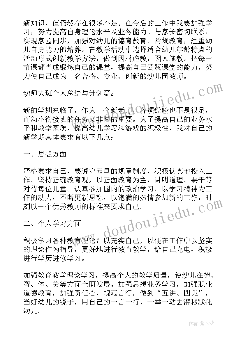 幼师大班个人计划总结 新幼师个人计划大班(汇总9篇)