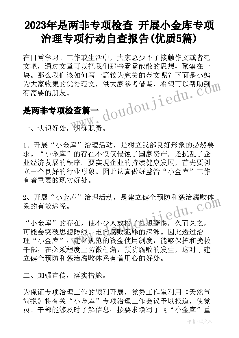 2023年是两非专项检查 开展小金库专项治理专项行动自查报告(优质5篇)