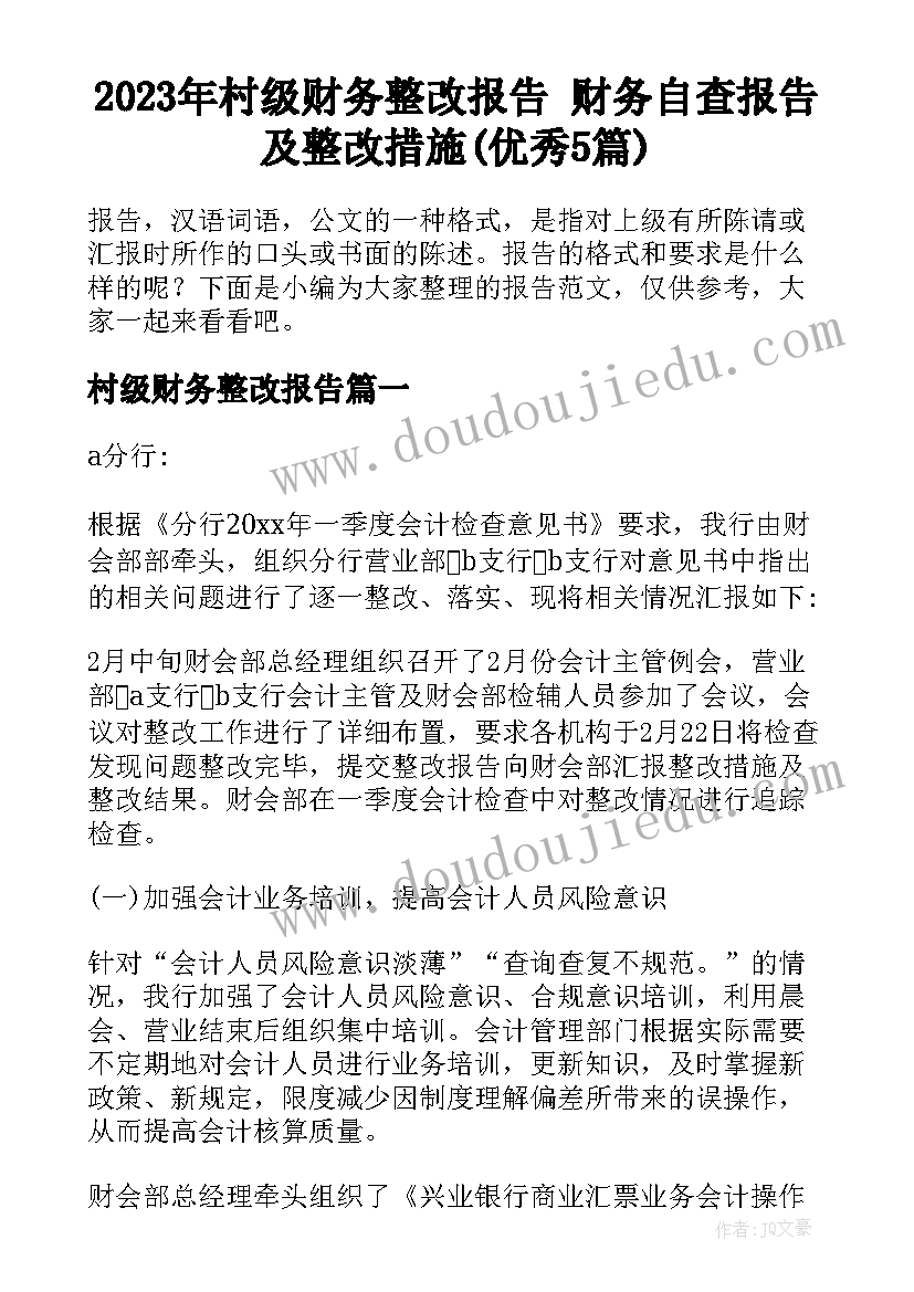 2023年村级财务整改报告 财务自查报告及整改措施(优秀5篇)