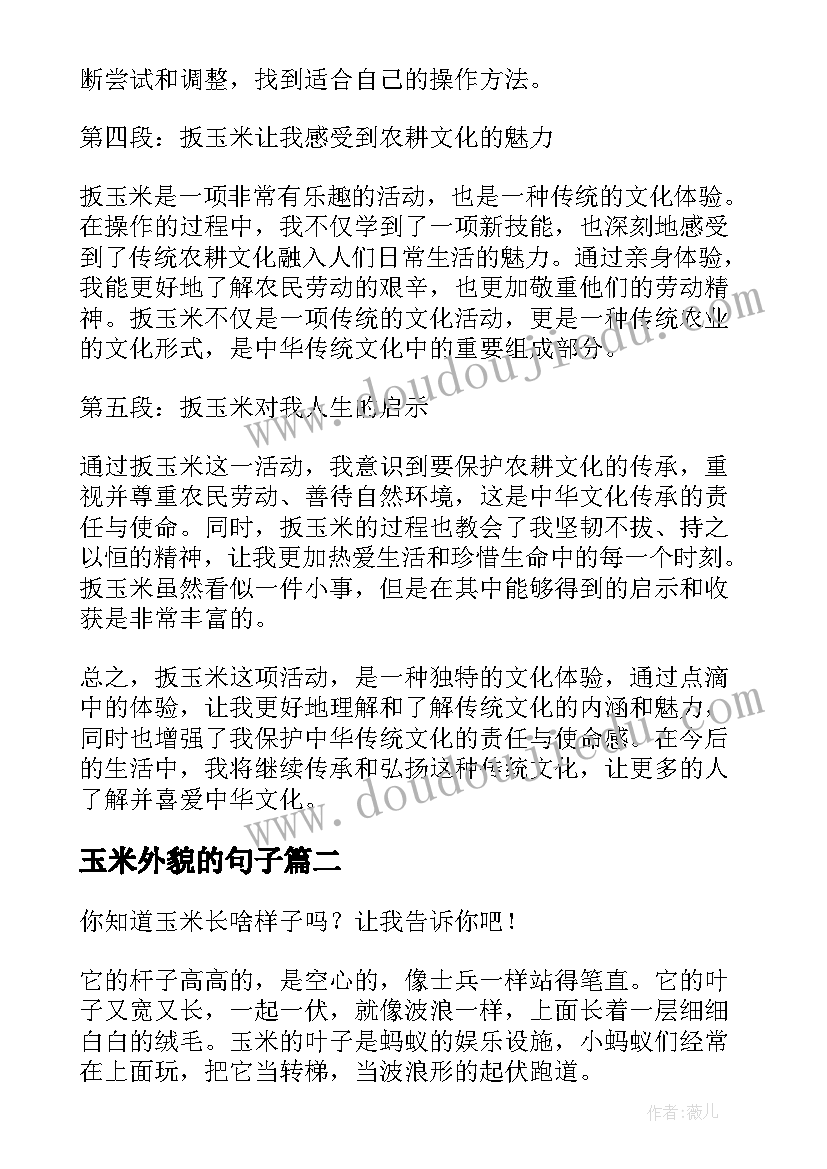 2023年玉米外貌的句子 扳玉米心得体会(通用5篇)