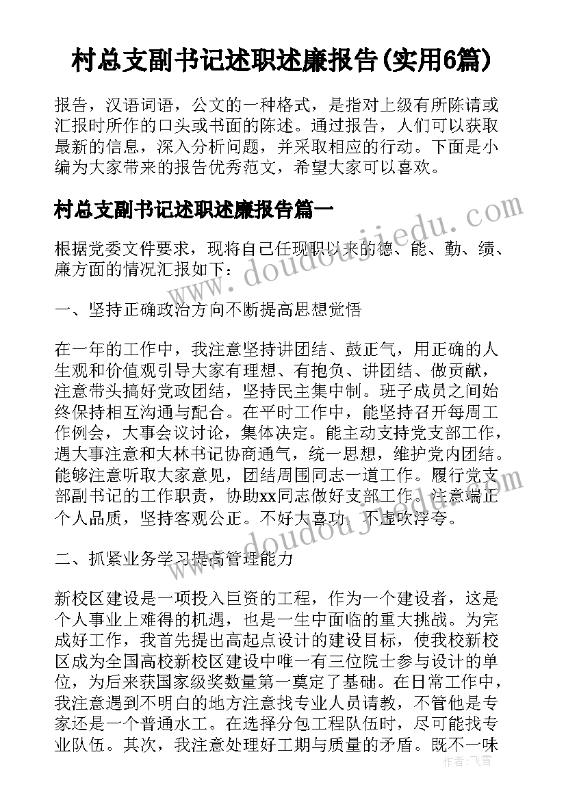 村总支副书记述职述廉报告(实用6篇)