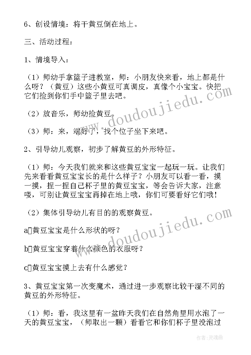 2023年科学活动水的魔术教学反思 小班科学活动黄豆宝宝变魔术教案(模板5篇)