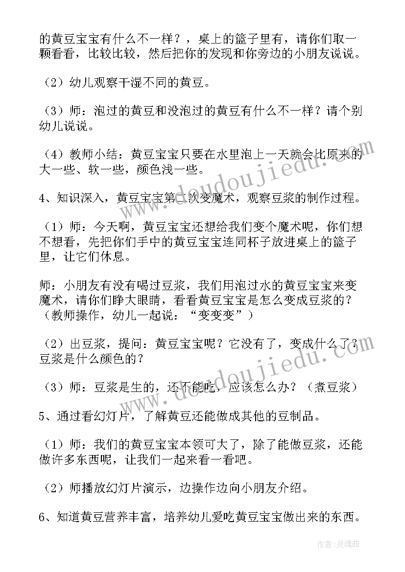 2023年科学活动水的魔术教学反思 小班科学活动黄豆宝宝变魔术教案(模板5篇)