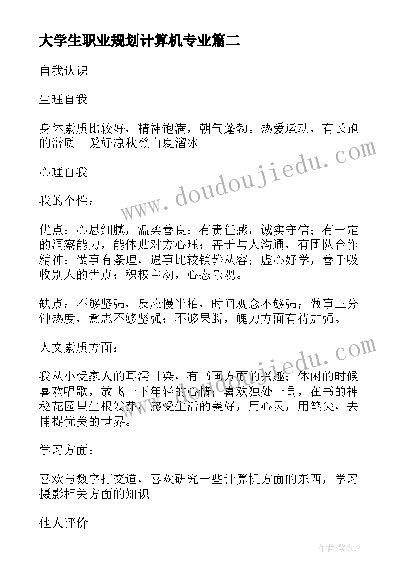 大学生职业规划计算机专业 计算机专业大学生职业生涯的规划书(优质5篇)