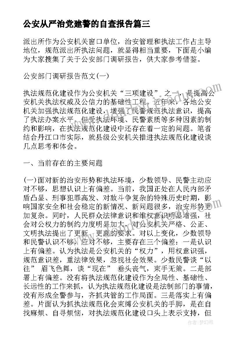 公安从严治党建警的自查报告(优秀6篇)