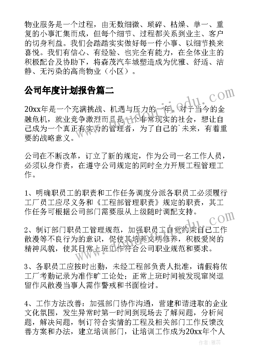 最新公司年度计划报告(模板5篇)