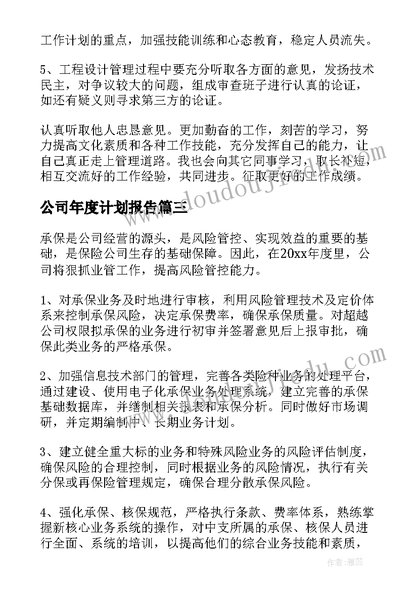 最新公司年度计划报告(模板5篇)