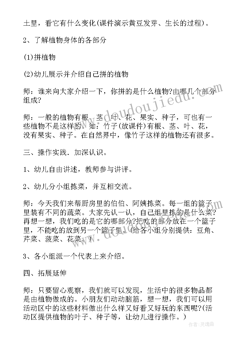 2023年幼儿园科学蚂蚁教学反思(汇总7篇)