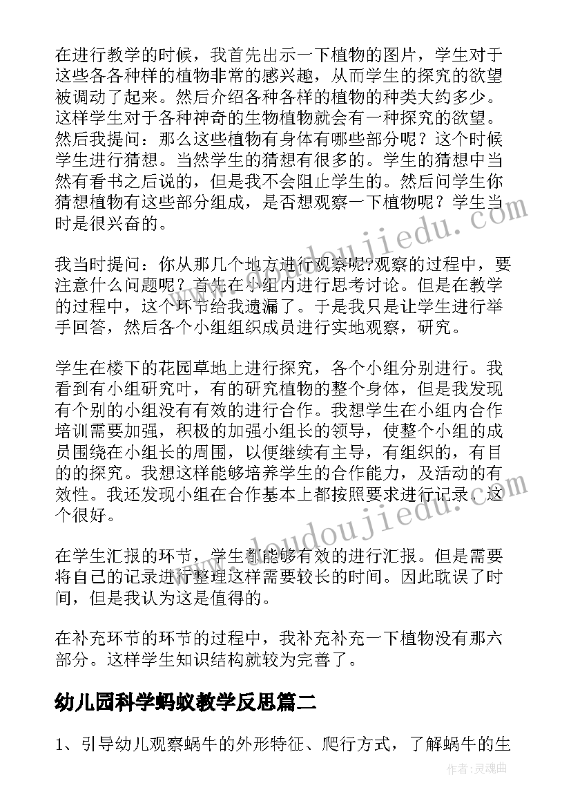 2023年幼儿园科学蚂蚁教学反思(汇总7篇)