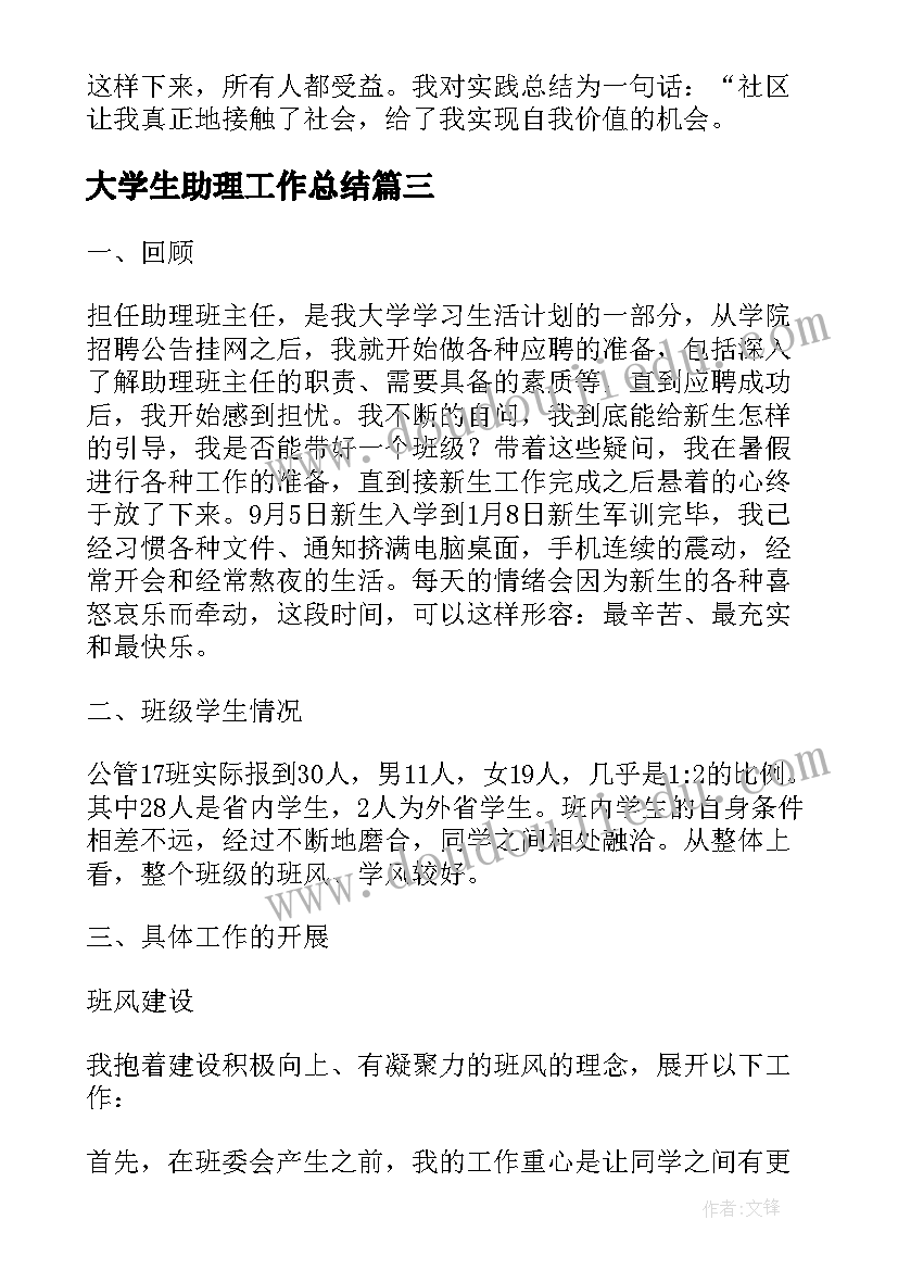 大学生助理工作总结(精选5篇)