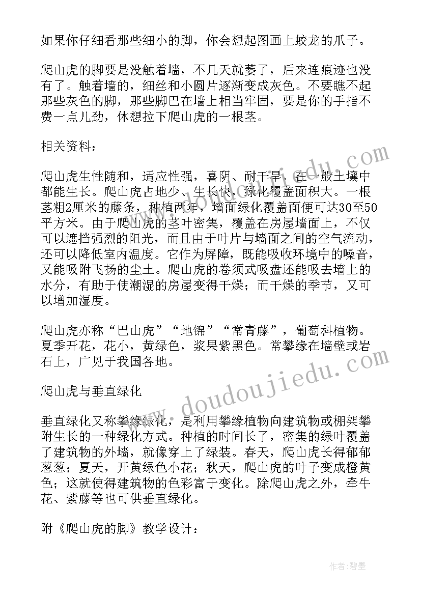 爬山虎的脚教案(实用5篇)