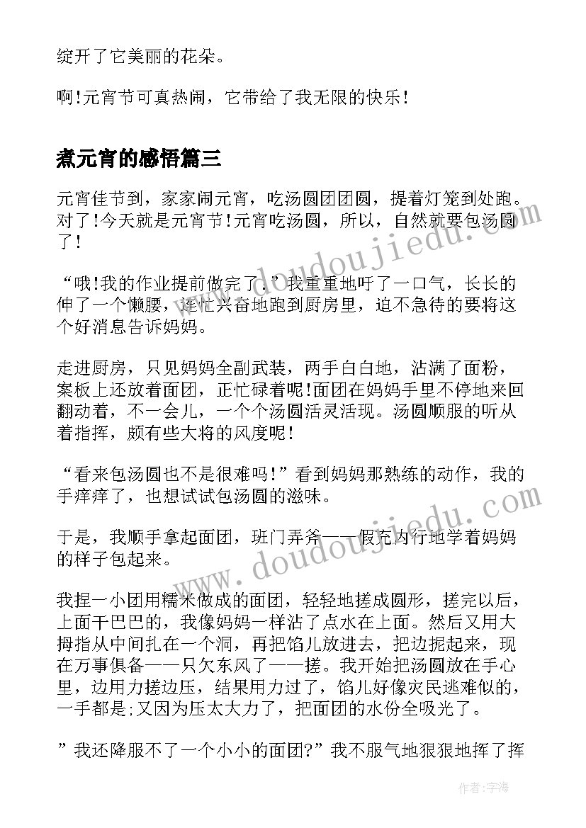 煮元宵的感悟 元宵节的初二感想感受元宵节的感想(模板5篇)