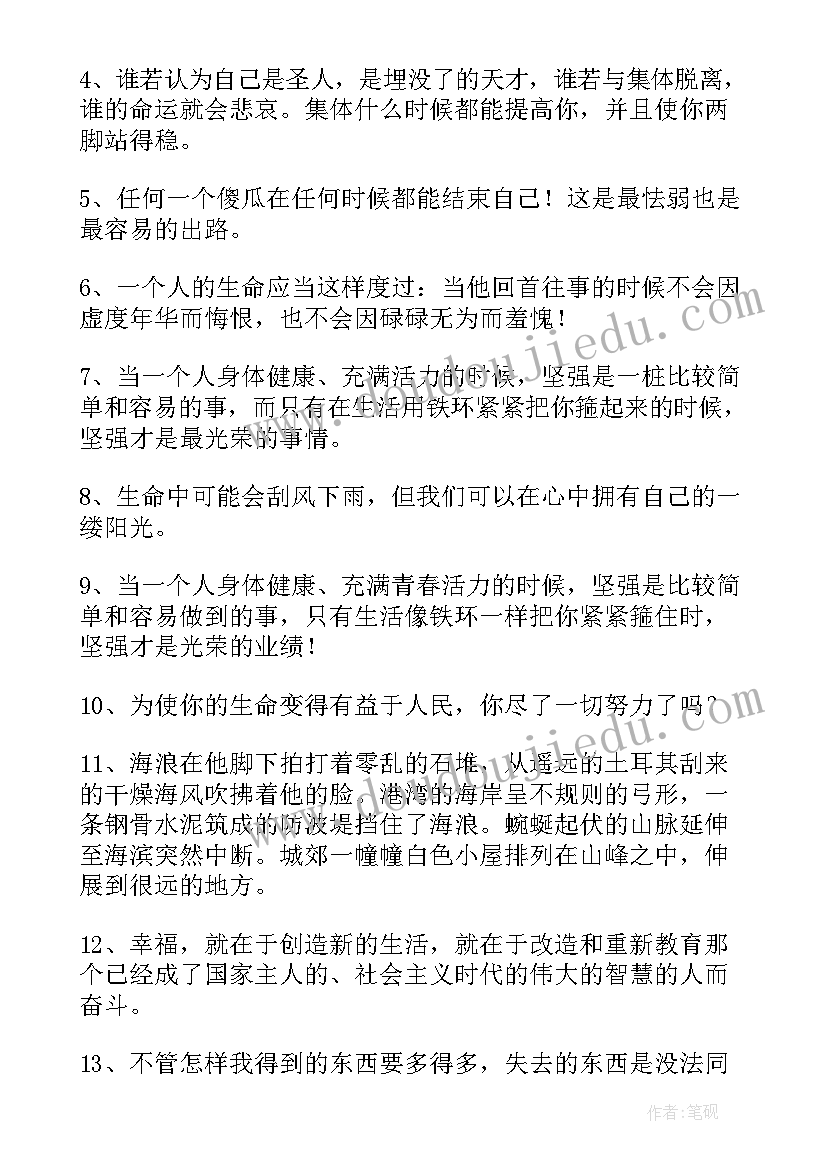 钢铁是怎样炼成的摘抄与感悟第一章 钢铁是怎样炼成的摘抄(精选9篇)