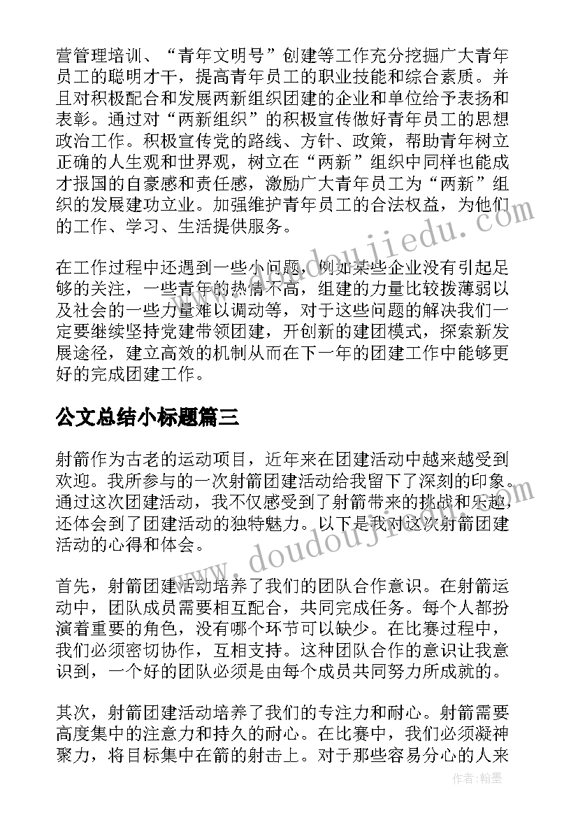 2023年公文总结小标题(通用8篇)