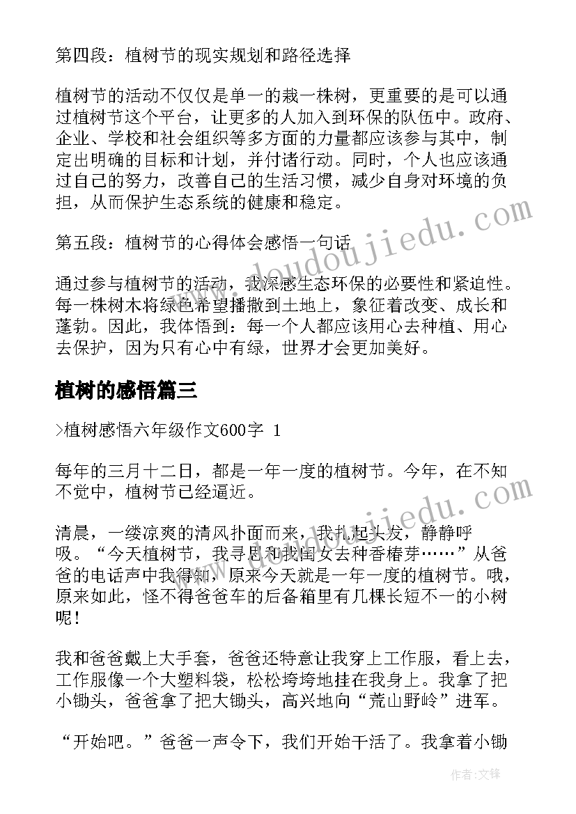 2023年植树的感悟 植树节的感悟(通用5篇)