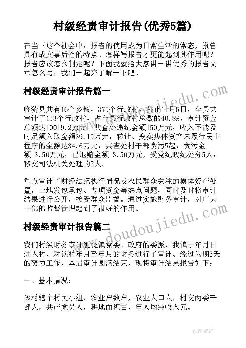 村级经责审计报告(优秀5篇)